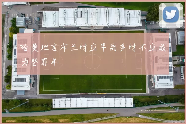 哈曼坦言布兰特应早离多特不应成为替罪羊